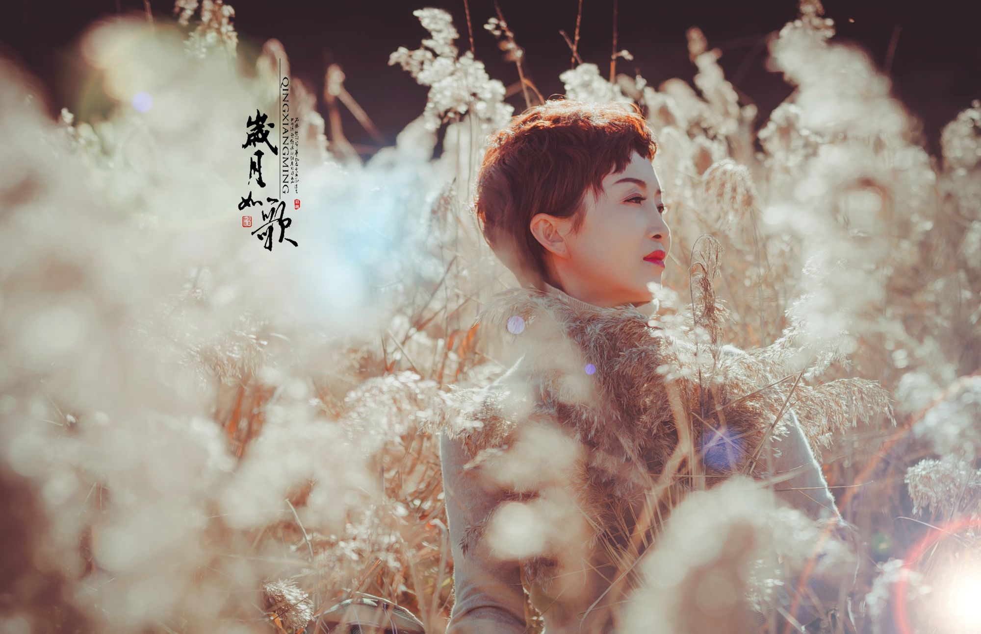 2014劲舞团最新版本是多少_老版本劲舞团经典歌曲在线听_当年劲舞团歌曲