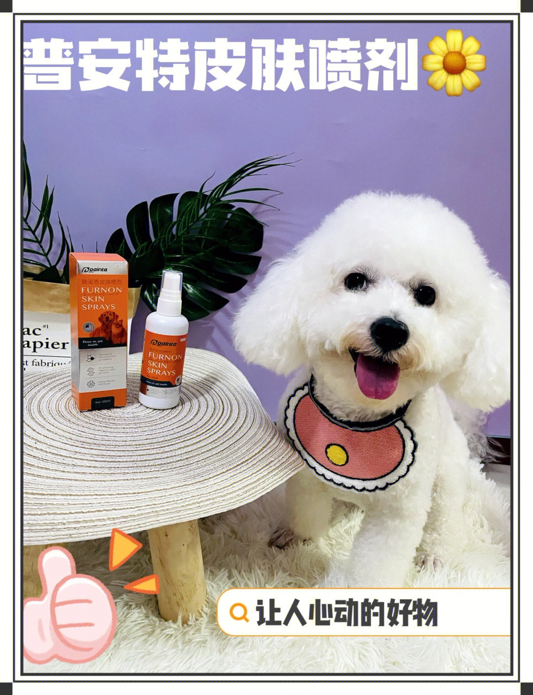 狗皮肤世界游戏大全_我的世界游戏狗皮肤_皮肤狗开箱