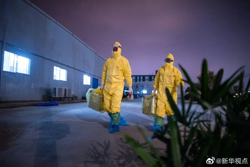 明日方舟资深干员tag搭配_明日方舟资深干员搭配支援_明日方舟资深干员词条一览