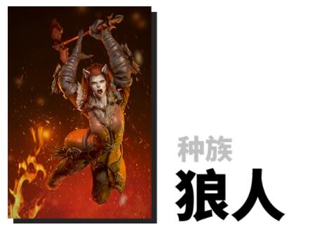 别人说你是个狼人你怎么回复_狼人说是回复怎么回复_说我是狼人怎么回复