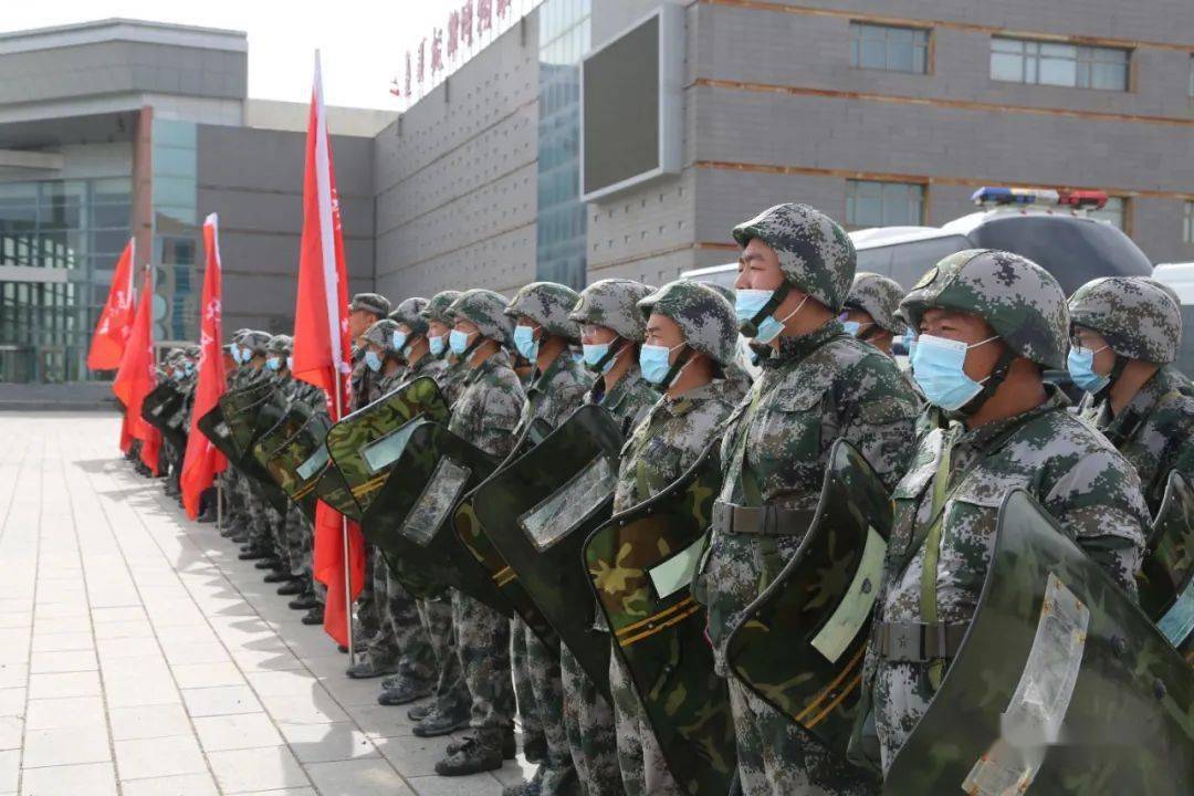 明日方舟资深干员搭配支援_明日方舟资深干员tag搭配_明日方舟资深干员词条一览