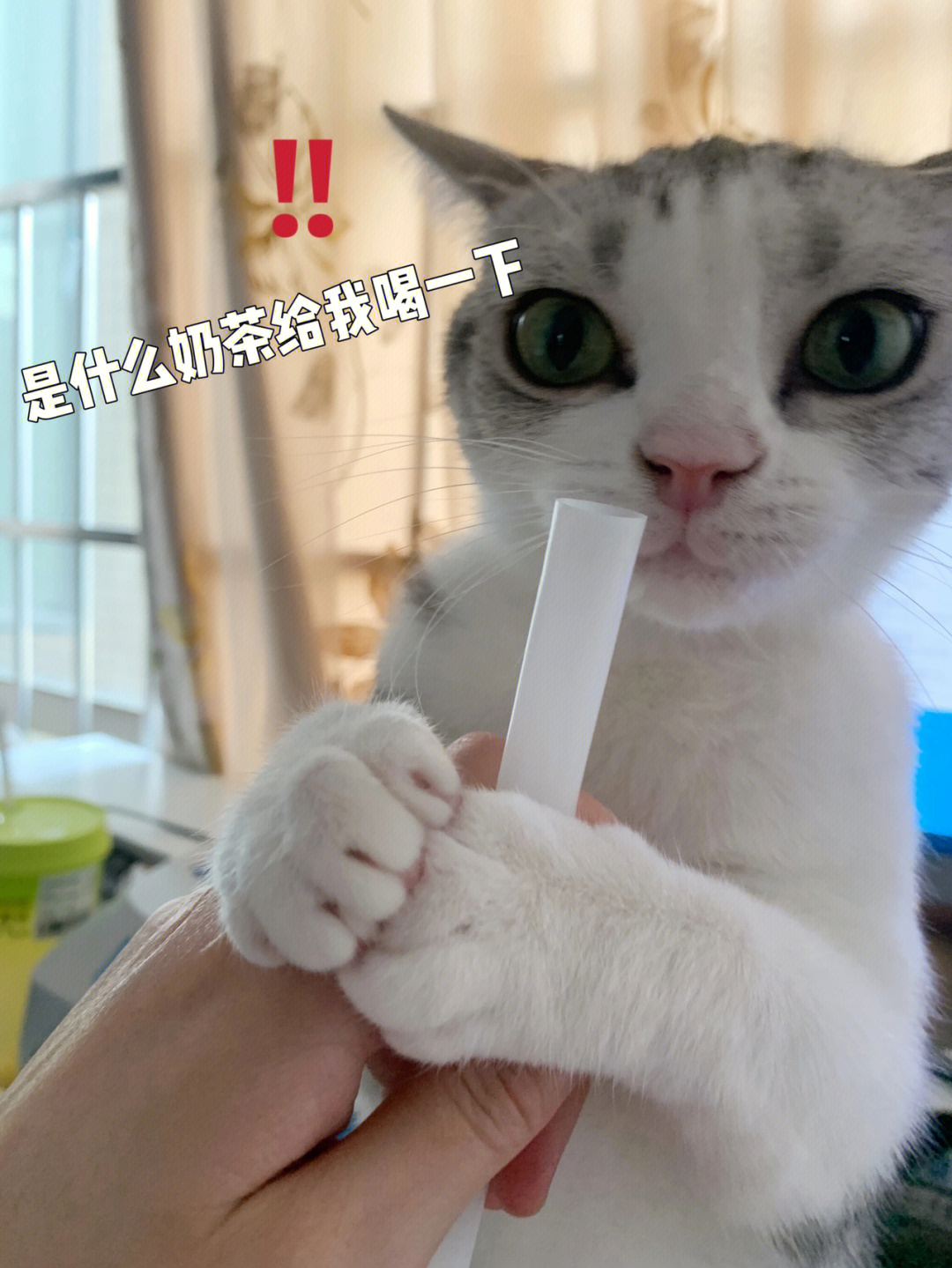 生化幽灵_幽灵生化迷你世界_幽灵生化模式