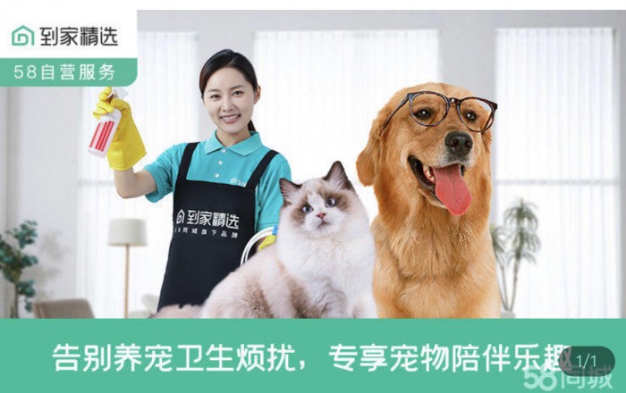 北京同城送宠物专车_北京同城宠物领养_北京宠物58同城