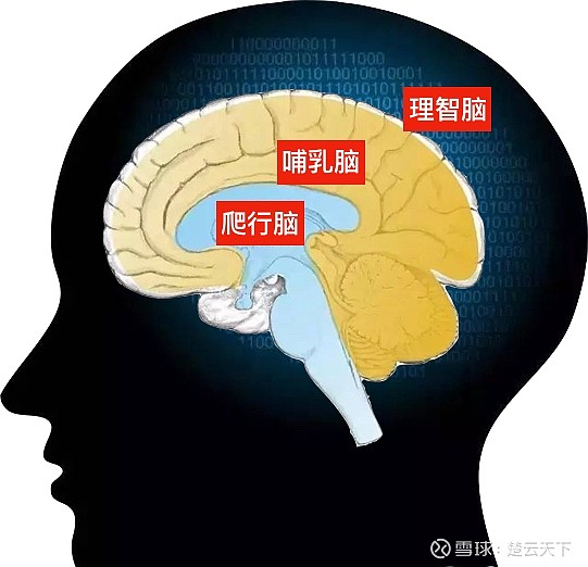 最强大脑魏教授资料_最强大脑水哥个人资料_最强大脑微观辨水