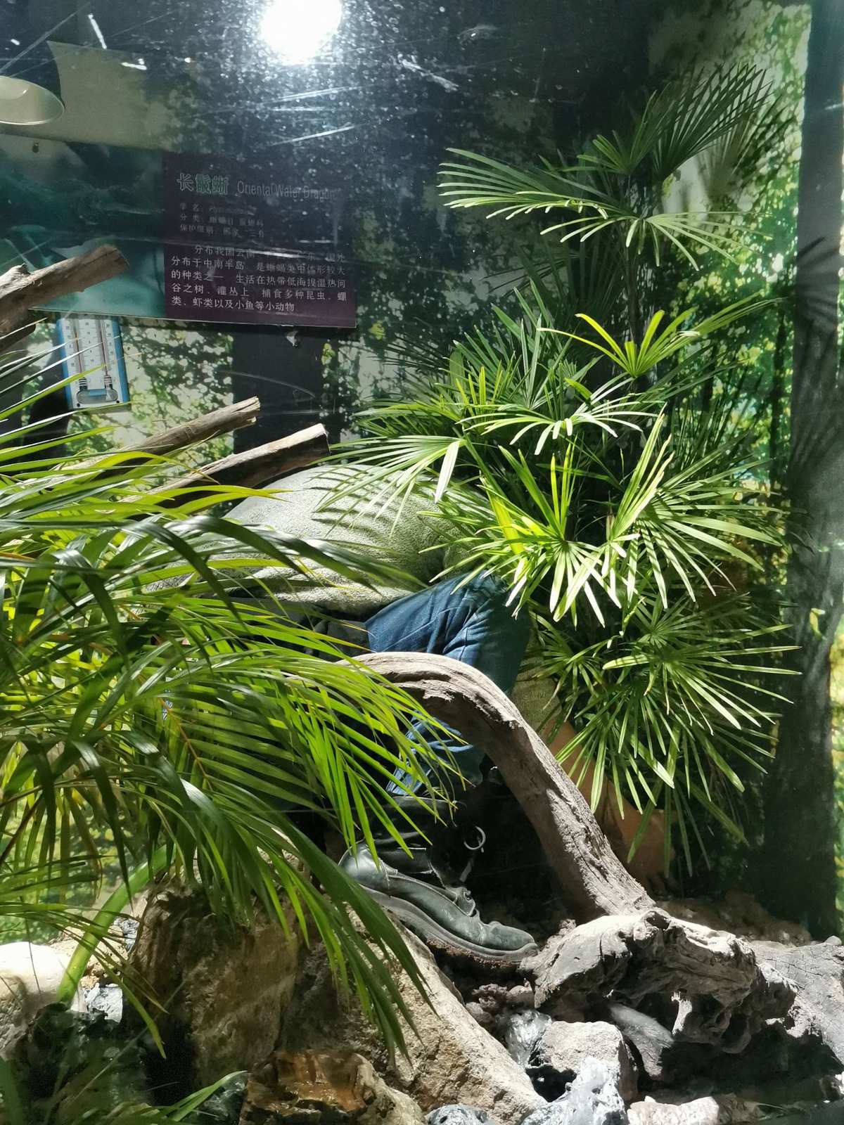 模拟种植类游戏_种植类游戏_种植类游戏可以赚取微信红包