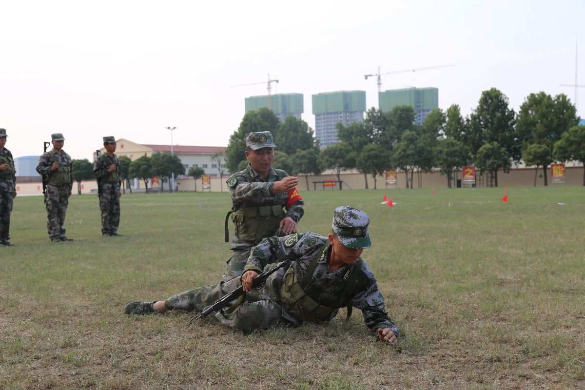 明日方舟资深干员搭配支援_明日方舟资深干员词条一览_明日方舟资深干员tag搭配