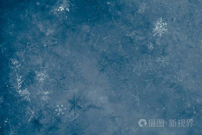 summer snow游戏_游戏Summertime_游戏summer