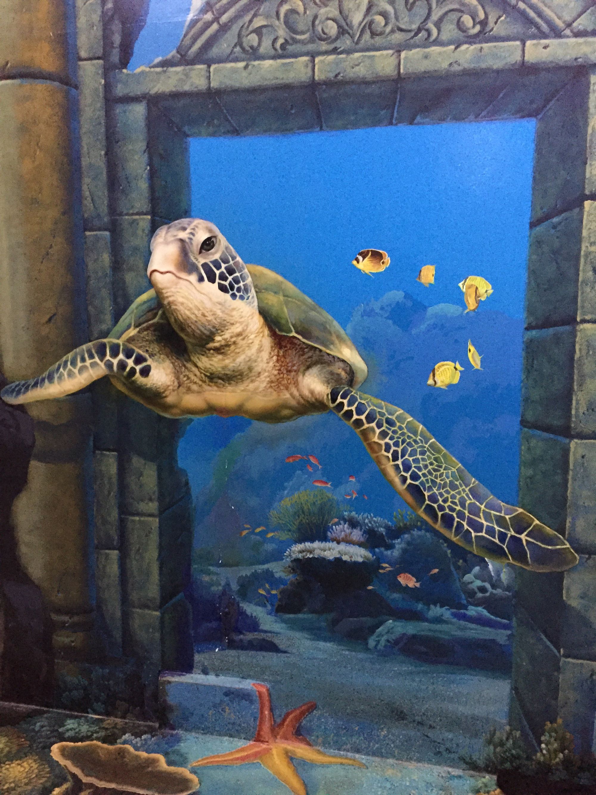 龟趣无限的水族馆游戏 龟趣无限的水族馆游戏