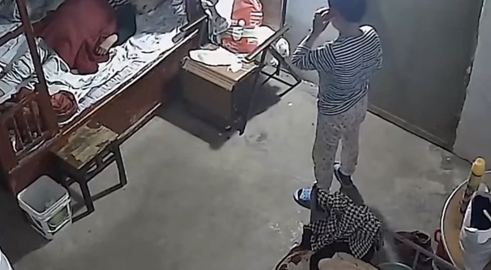 辽宁朝阳保姆一个月工资多少钱_沈阳保姆殴打老人视频_辽宁朝阳打孩子保姆