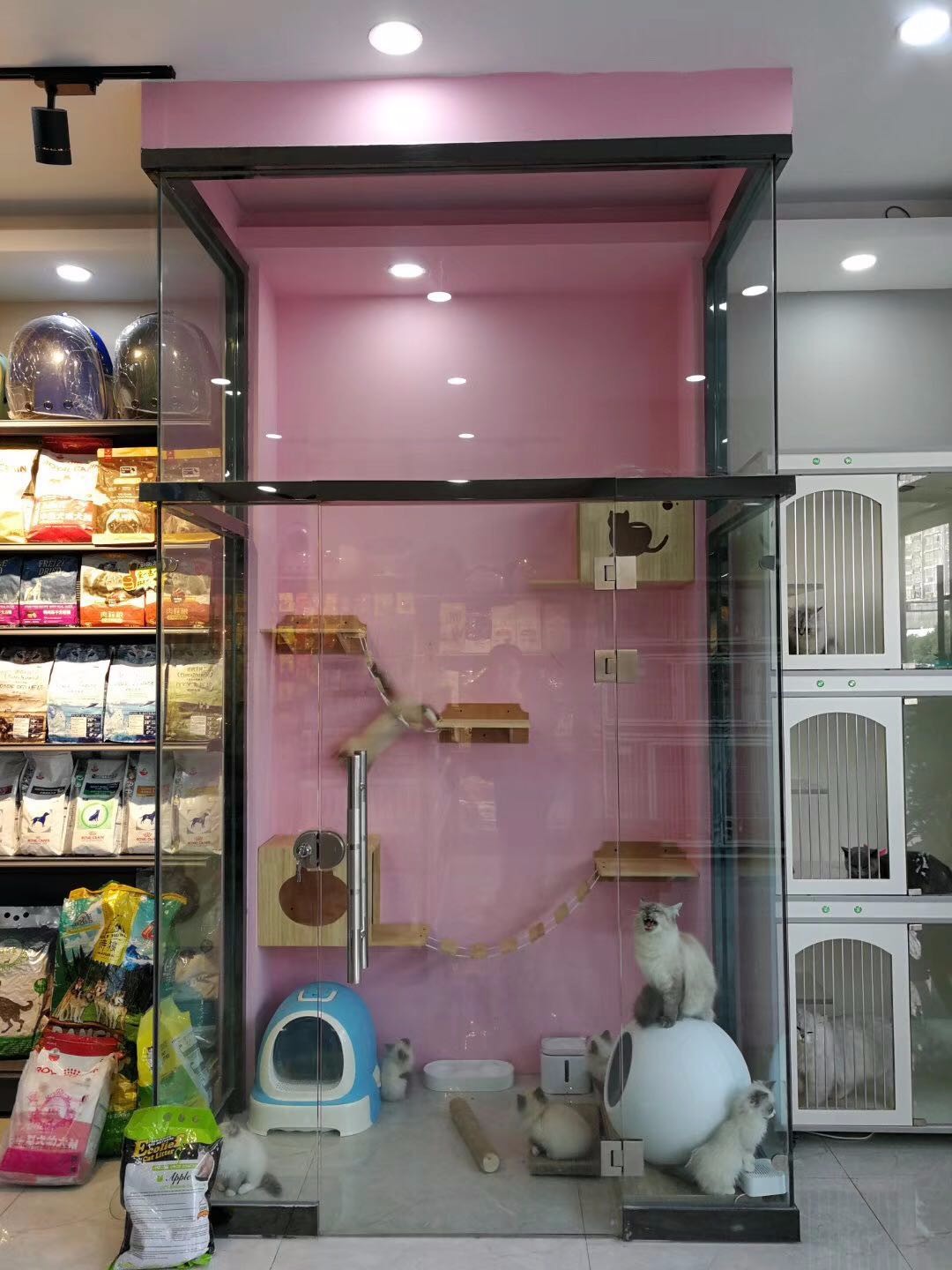 连云港宠物店电话号码_连云港宠物店招聘_连云港宠物店