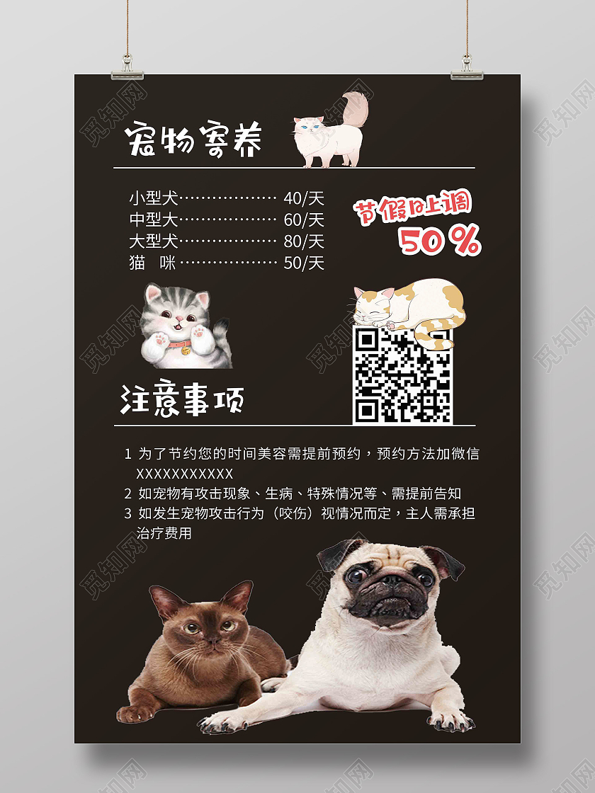 宠物服务价格_宠物价格服务包括哪些_宠物服务价格表