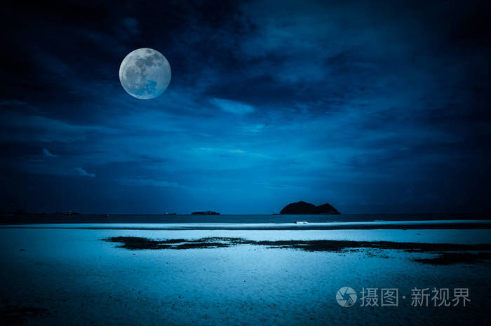 上海滩：血战密籍