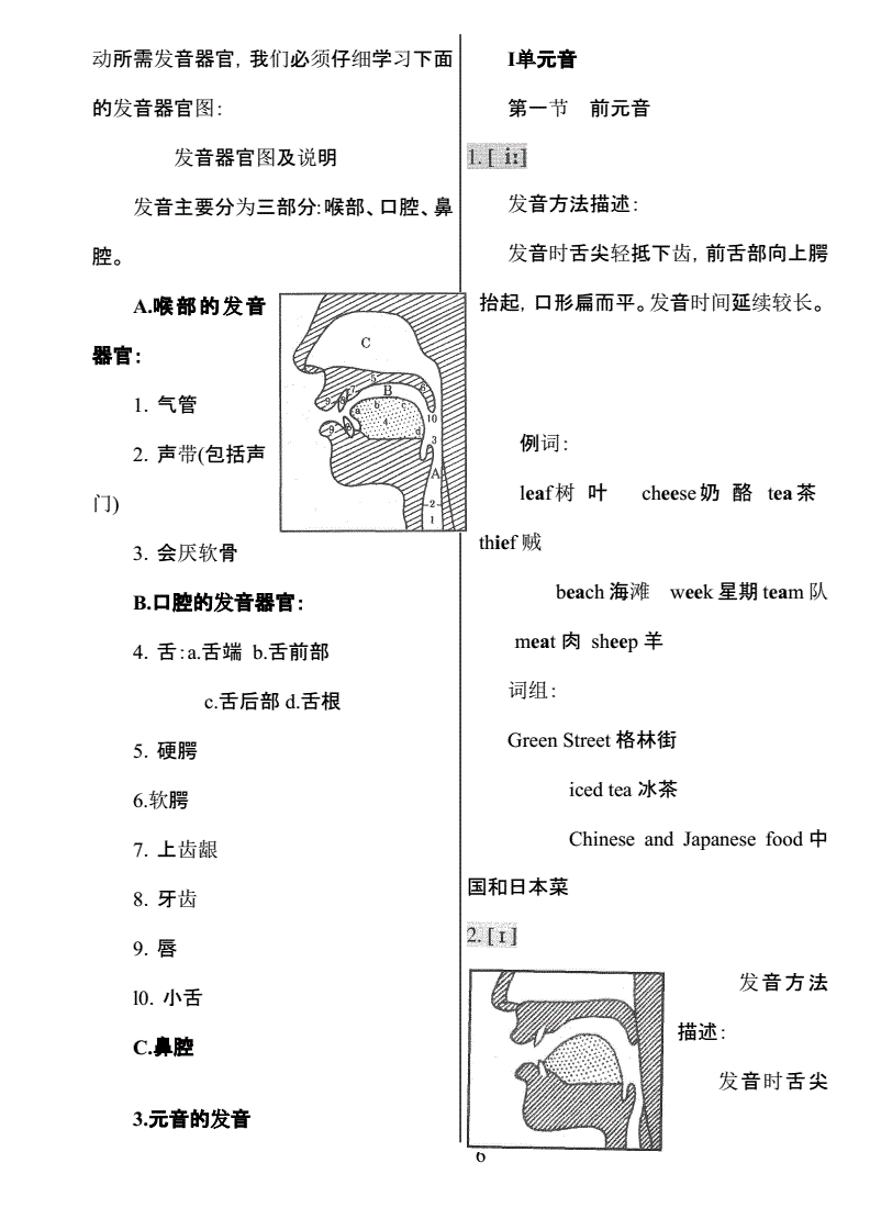 洪恩波噜噜美语系列绿色仙尘_波噜噜韩语动画片_洪恩小乌龟学美语全集下载