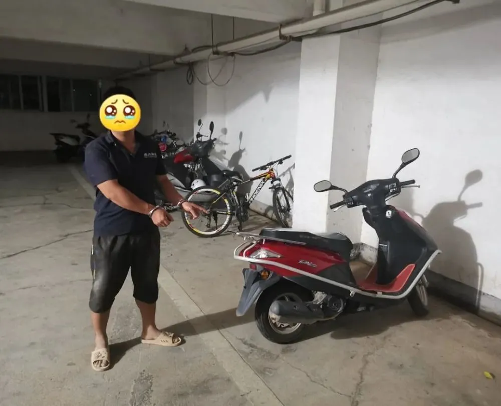 什么网站能看完美盗贼_盗贼能完美网站看电影吗_盗贼能完美网站看小说吗