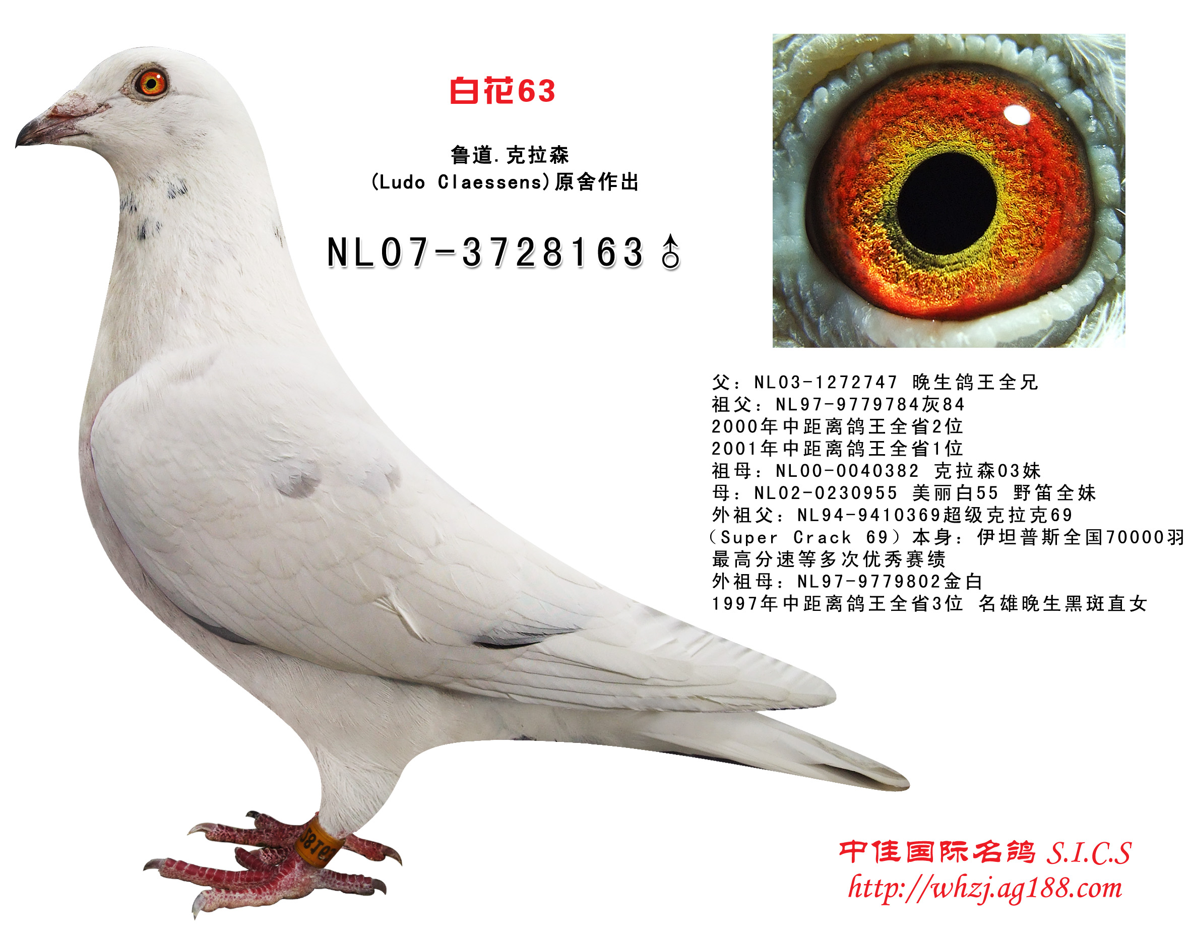 微信系统森破小子73_微信系统森破小子57_微信性系统森破小子56