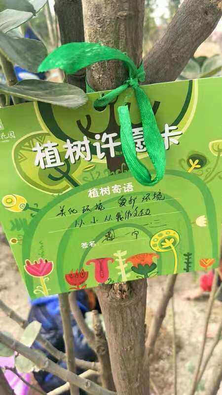环保心愿卡制作_环保绿色心愿卡内容怎么写_绿色心愿环保卡图片