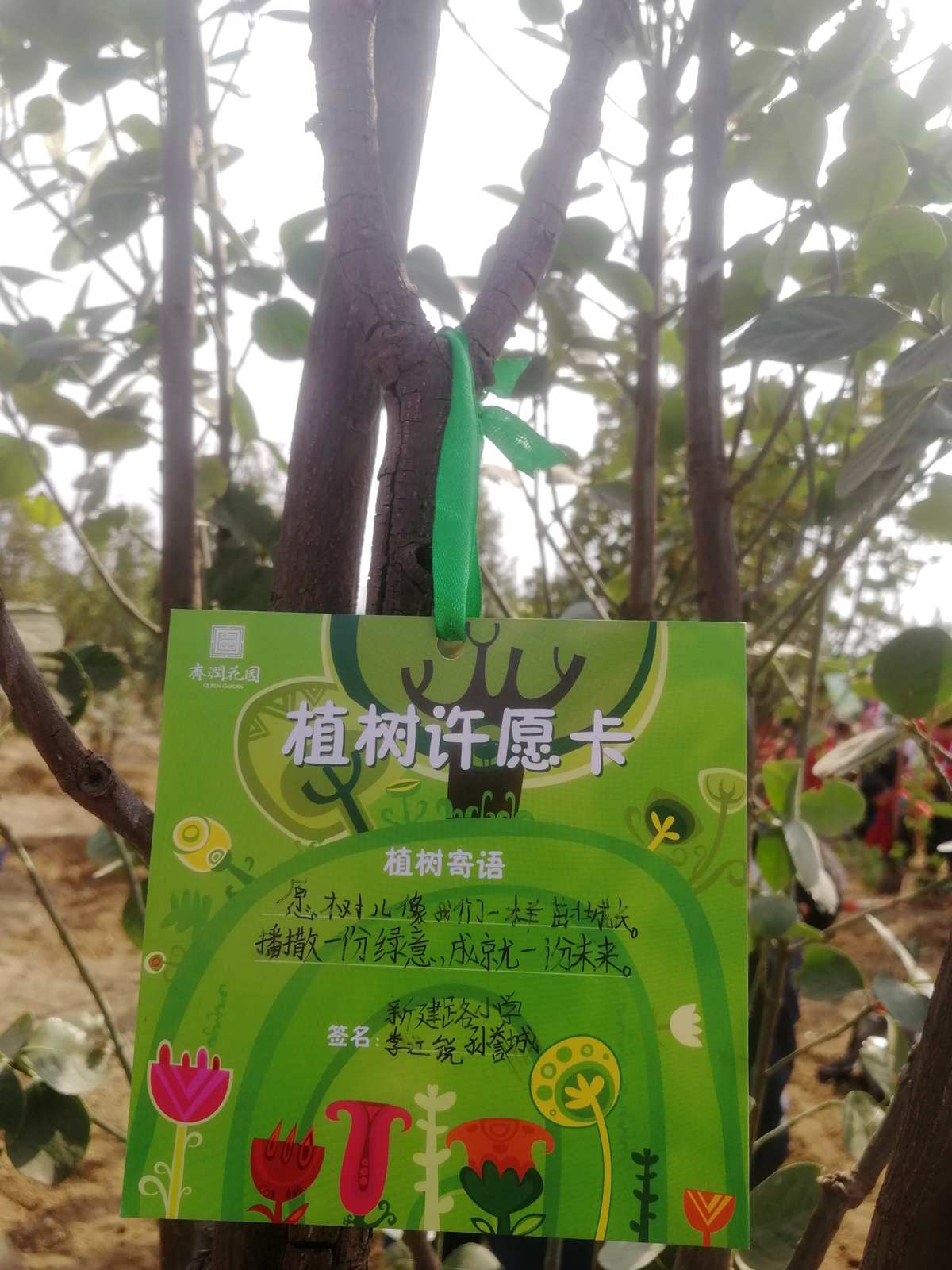 环保心愿卡制作_绿色心愿环保卡图片_环保绿色心愿卡内容怎么写
