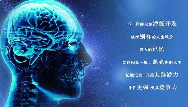 最强大脑魏教授资料_最强大脑微观辨水视频_最强大脑水哥个人资料