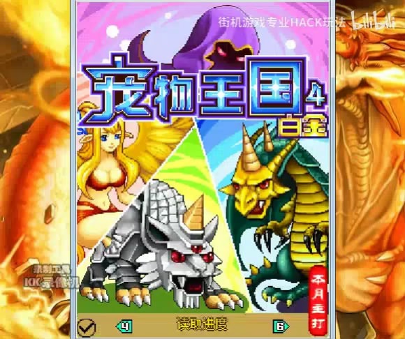 宠物白金王国4_王国白金宠物游戏攻略_宠物王国4白金游戏