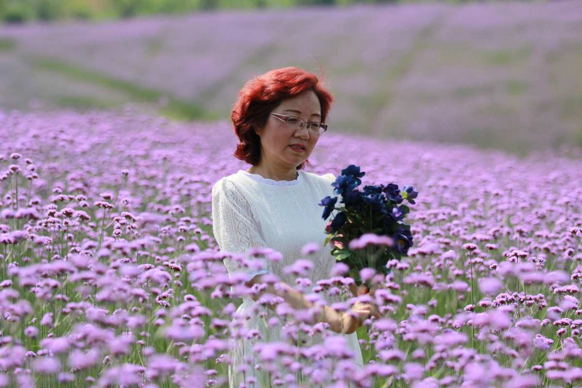 提拉德翁坡帕_口袋妖怪白2勾帕路翁_勾帕路翁