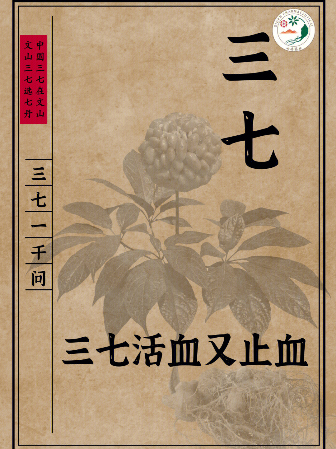 三七玩法_三七玩_三七玩游戏