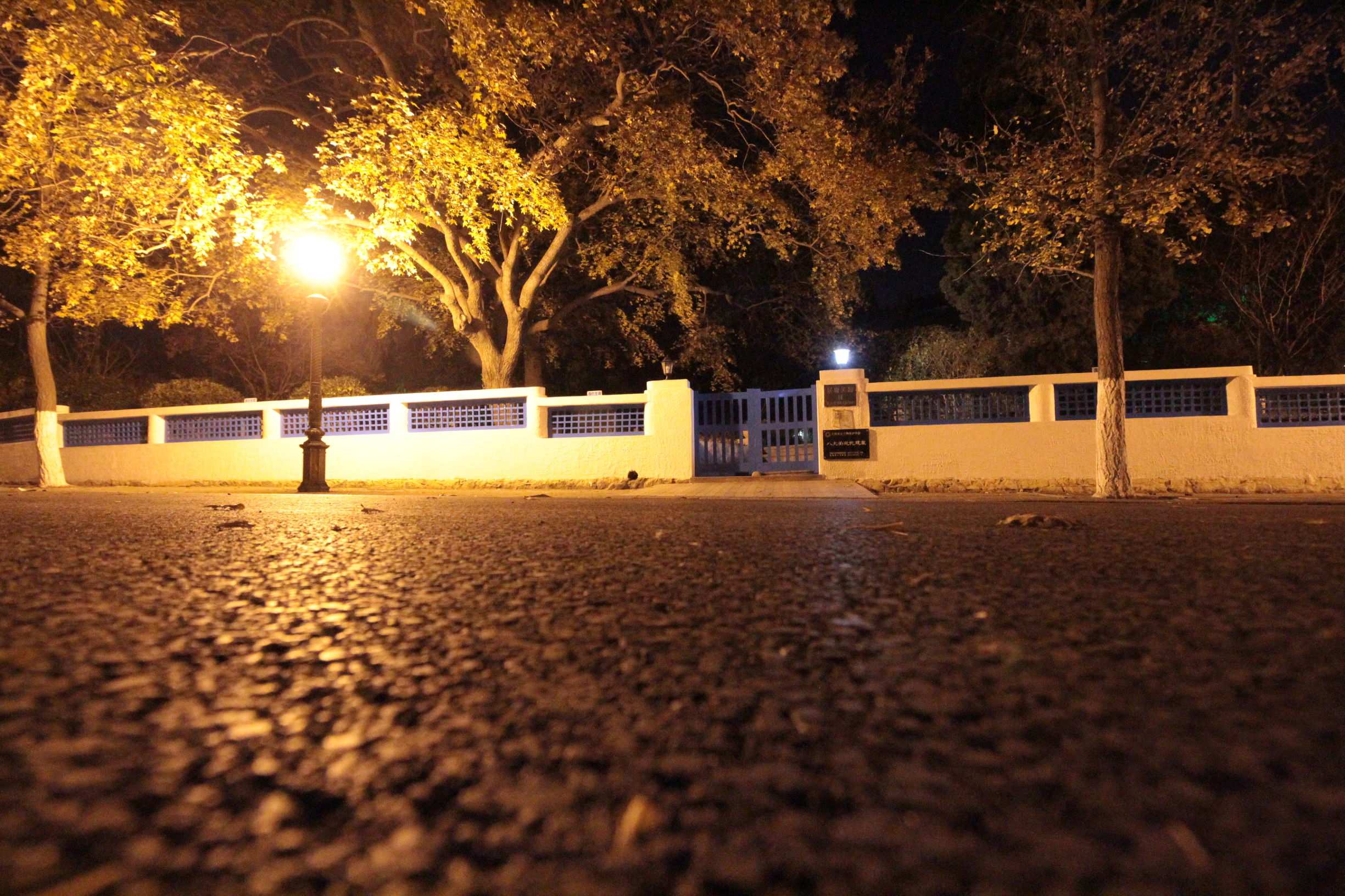 夜勤_夜勤雀栋_夜勤病x