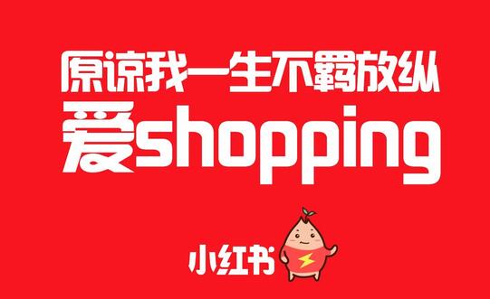 小红书维护数据是什么意思_小红书系统维护中_小红书维护数据是什么