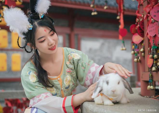 玉兔仙子_玉兔仙子百度百科_仙子玉兔故事