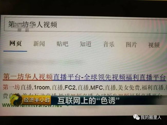 色短视频_凯米尔色英短图片_重点色英短幼崽图片