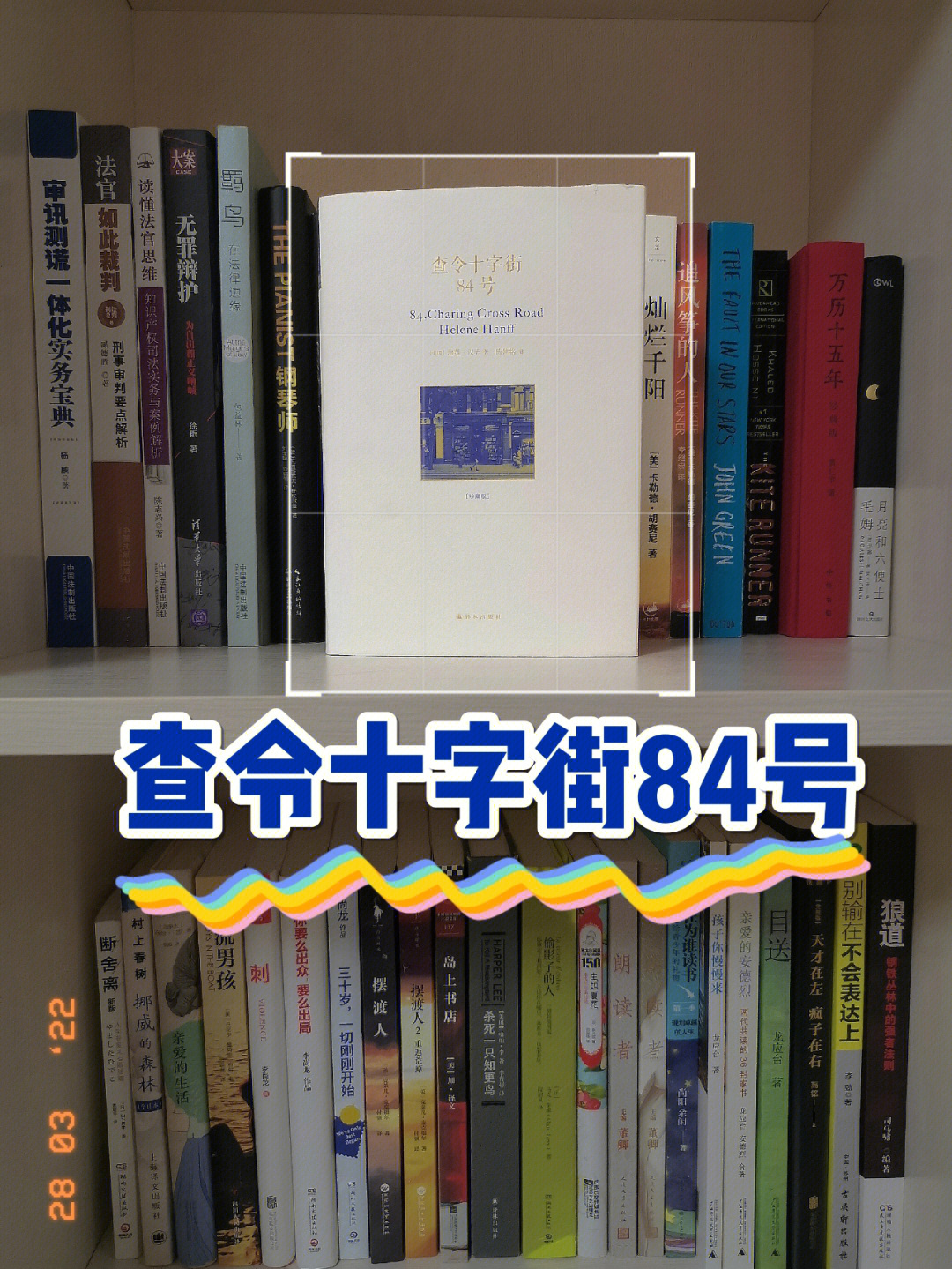 种子号_我的世界种子号_威敌4号蕃茄种子
