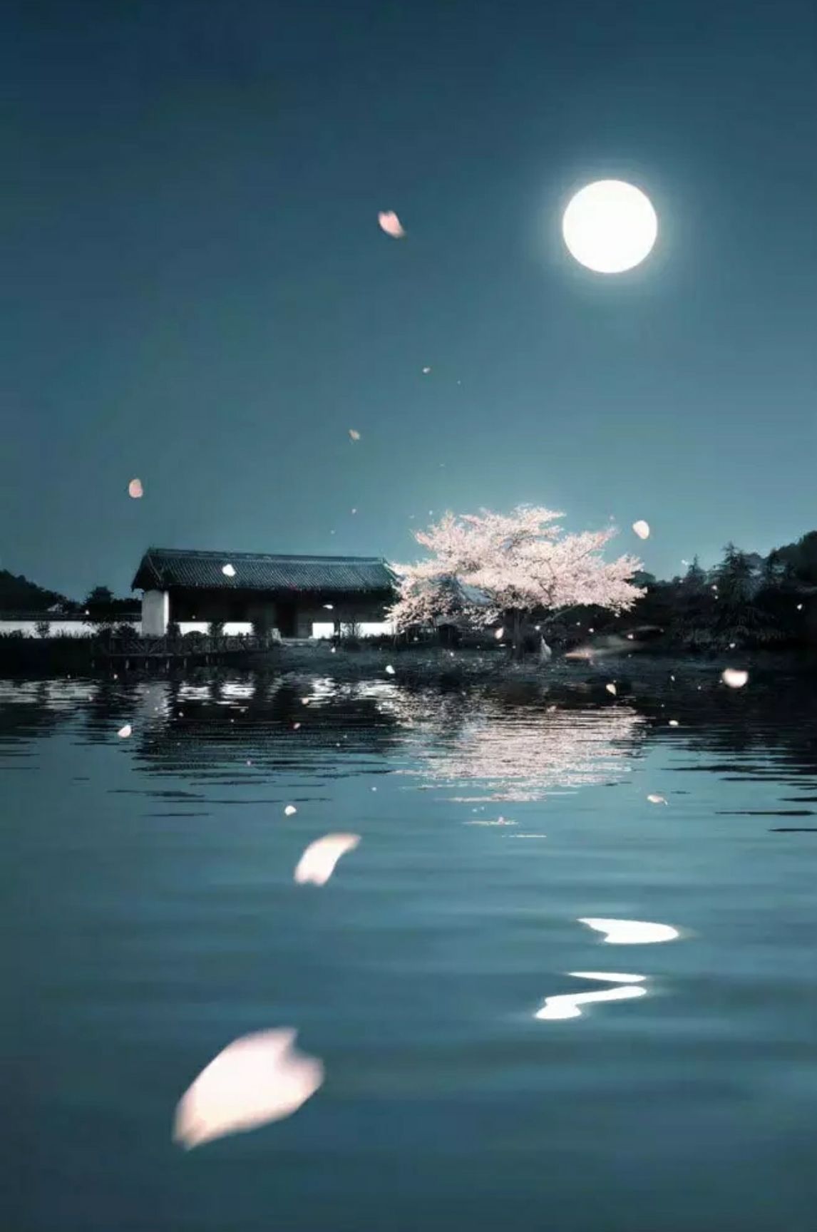 程彤颜无圣光照片资源_颜者无最博客_无月之颜