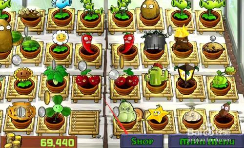 植物大战僵尸北美版 破解版游戏新玩家 植物大战僵尸北美版 破解版游戏新玩家
