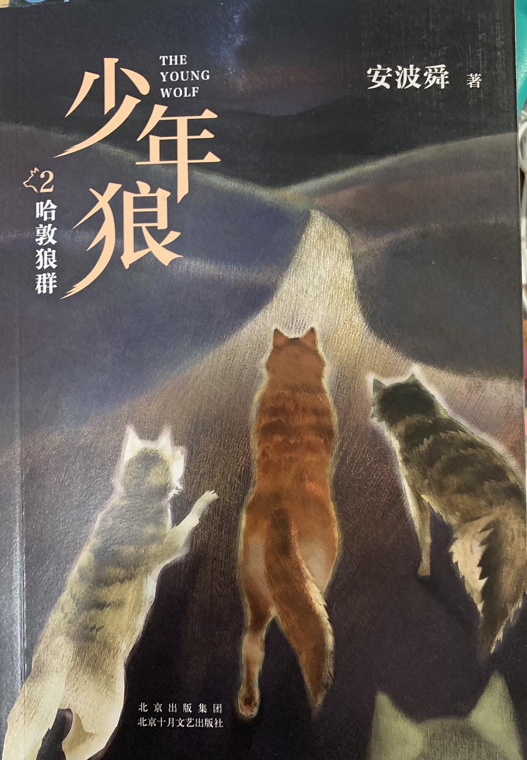 狼群_狼群成人社区_狼群社区