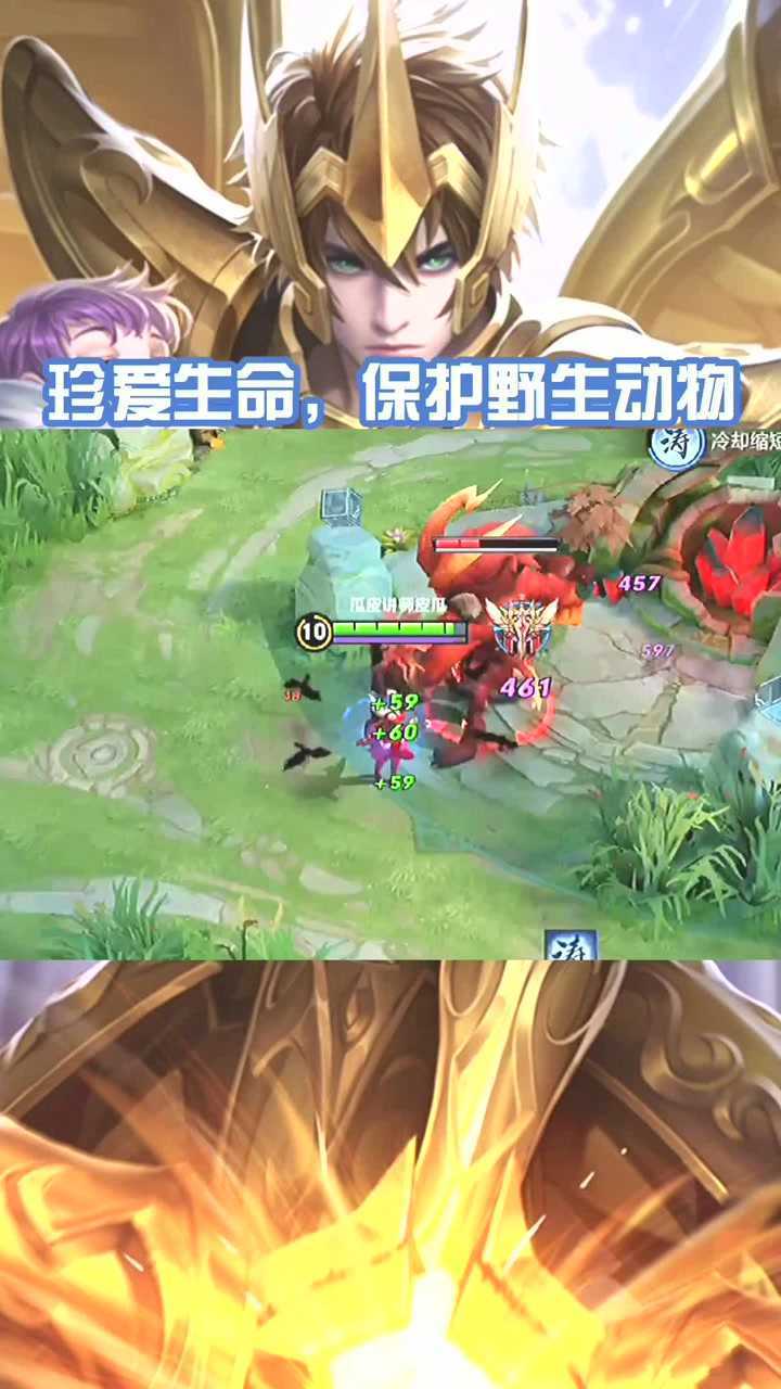 我是一名王者级猎人