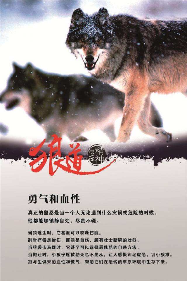 战火家园_战火兵魂_战火之源