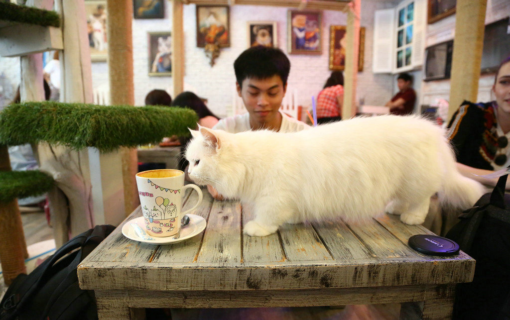 抖小店骗局_抖小店怎么赚钱_小抖