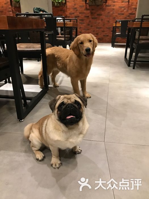 小抖_抖小店怎么赚钱_抖小店骗局