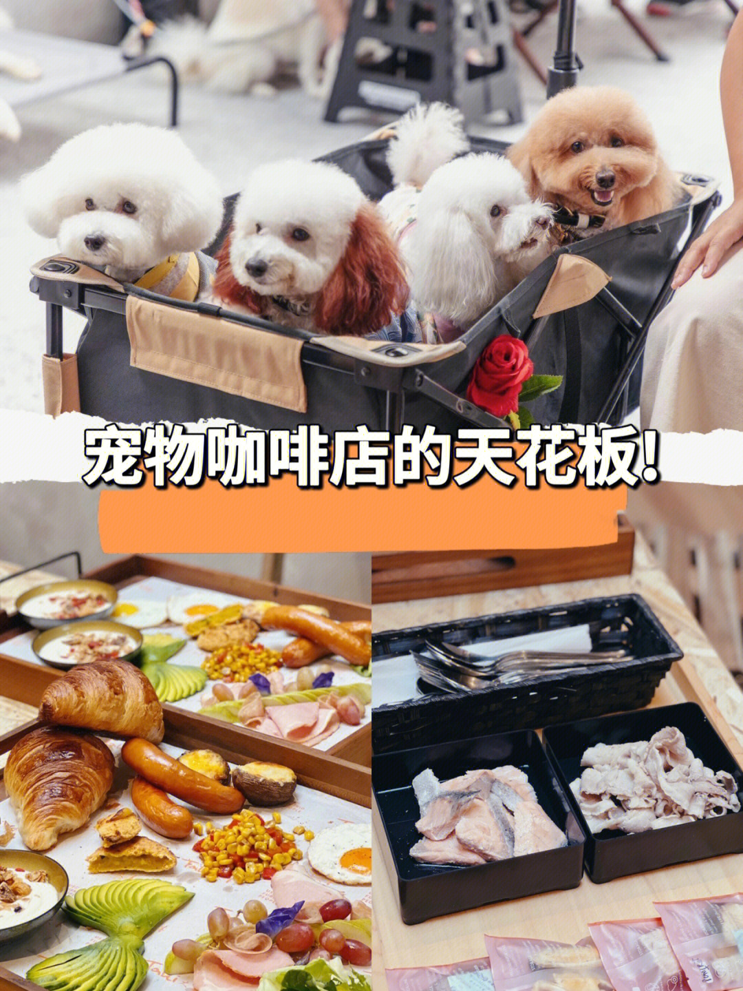 小抖_抖小店骗局_抖小店怎么赚钱