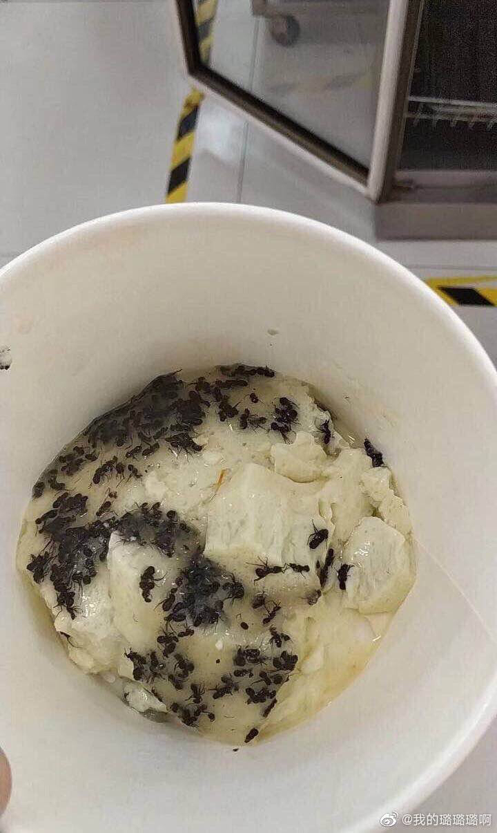 黑暗料理王菜谱:颤抖味蕾的秘密 黑暗料理王菜谱:颤抖味蕾的秘密