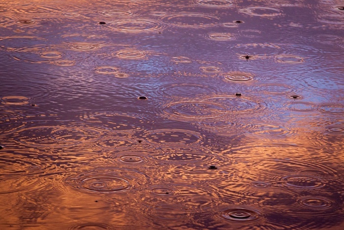 飘雨_飘雨是什么意思_飘雨洗发水好用吗