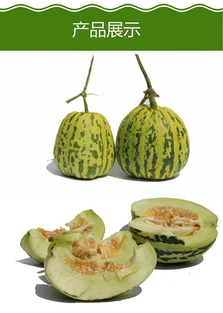 丰蜜龙_上海蜜丰滑稽剧团_龙券网蜜淘