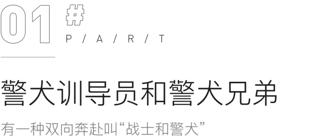 犬虎牙女面相_虎牙四犬_虎牙直播虎牙妹