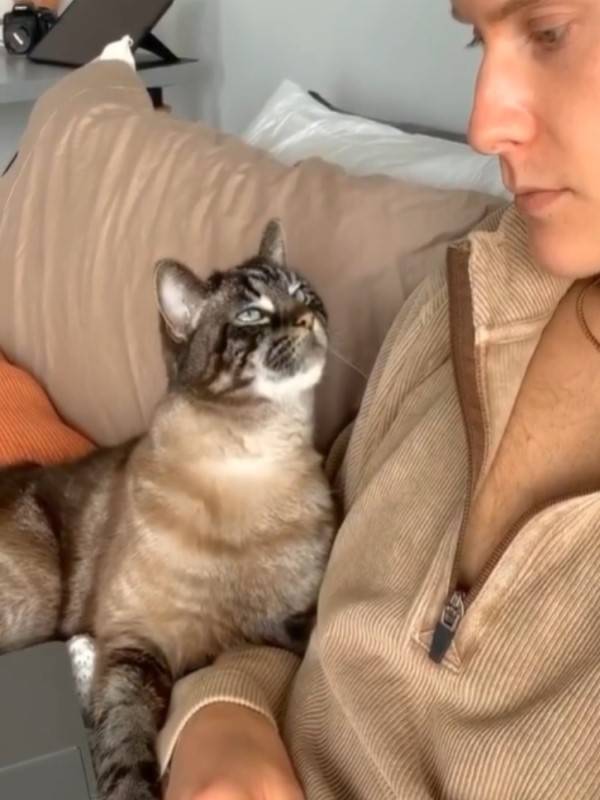 猫咪杜区app官网_猫咪杜区app官网_猫咪杜区app官网