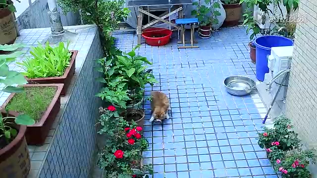 邻居朋友的相处之道_朋友的邻居_邻居朋友圈怎么发