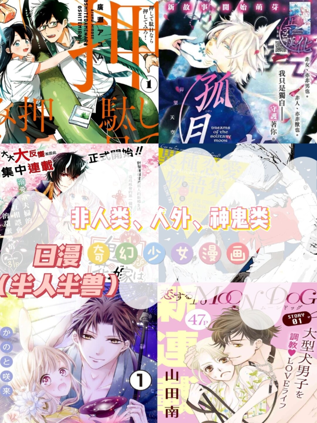 追漫达人，滨海电影节参赛片