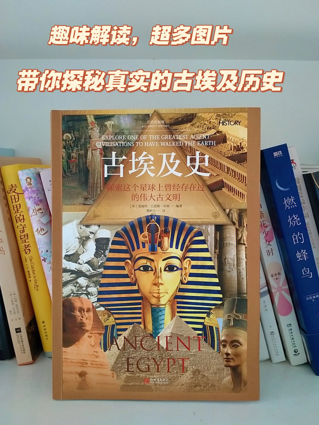 法老兽_法老兽_法老兽