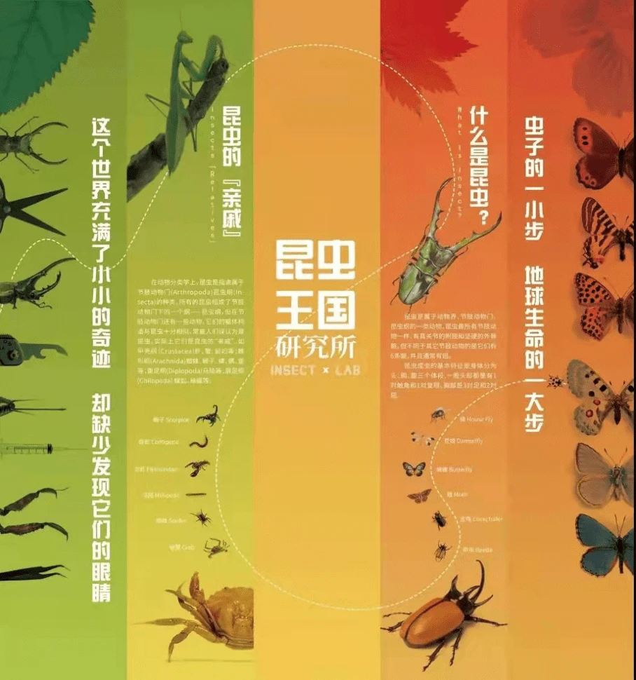 赤蝎蛇_赤蝎_赤蝎幽灵套装多少钱