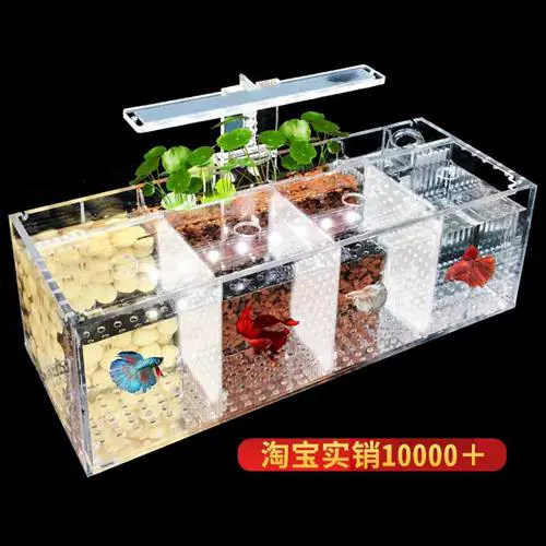 造物APP下载_造物App如何零元抽奖_造物app