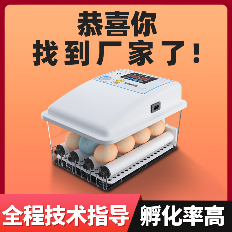 造物APP下载_造物app_造物App如何零元抽奖