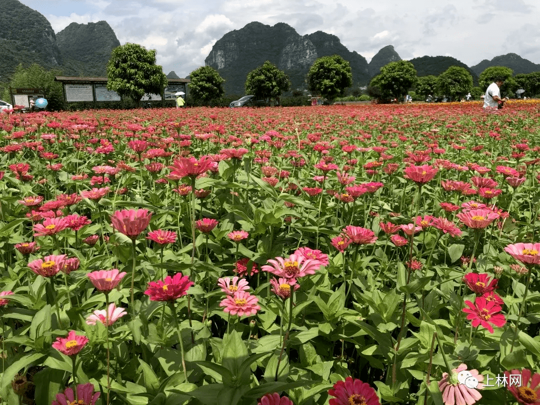 独步仙尘_独步仙尘TXT下载_独步仙尘曾经拥有的方向感